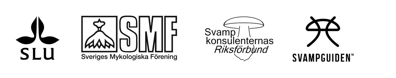 Distanskurs i grundläggande svampkunskap Distanskurser i grundläggande svampkunskap | Externwebben